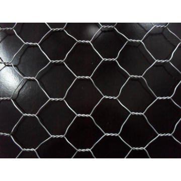 Hot dipped galvanized gabion mesh